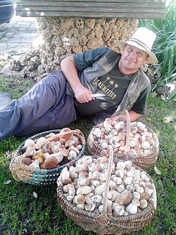 Egi­di­jaus Skei­ve­rio grybai