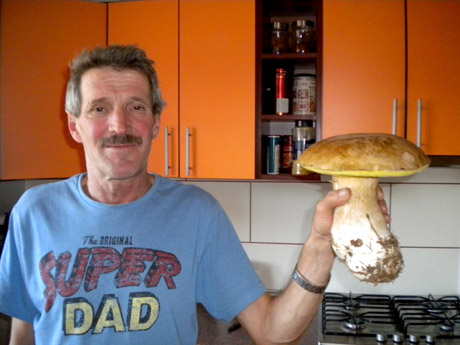 Asa­čio­vo gry­bai