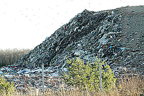 Milijonai dings tarp šiukšlių