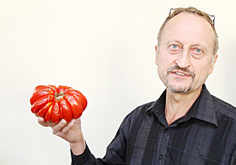 Sunkiasvoris pomidoras