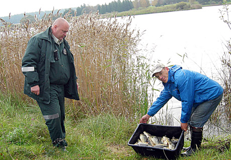 Į tvenkinius paleista karpių Į tvenkinius paleista karpių