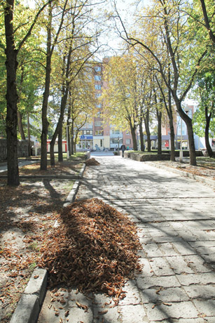 Nauji pasiūlymai Šiauliams: kvartalo renovacija ir lėktuvų remontas Nauji pasiūlymai Šiauliams: kvartalo renovacija ir lėktuvų remontas