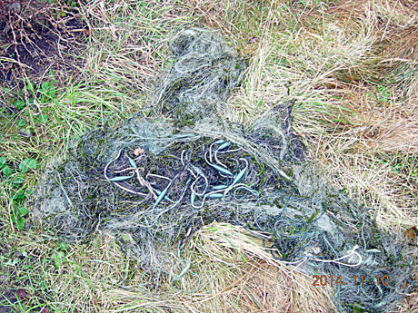 Žvejų laimikis – brakonierių tinklai Žvejų laimikis – brakonierių tinklai