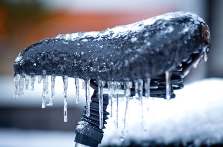 Barsuko šešėlis orų nenuspės