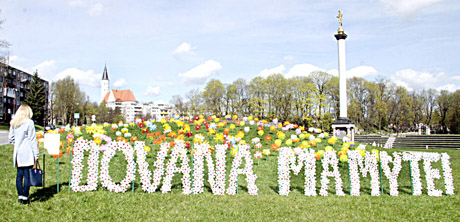 Gėlėmis nuklota pieva – mamoms