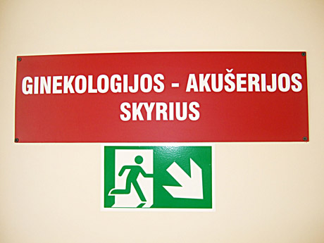 Biudžeto lėšos – gimdymo paslaugoms Biudžeto lėšos – gimdymo paslaugoms