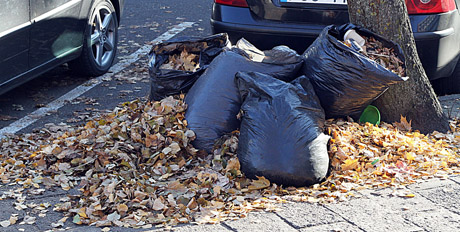 Kur dėti rudeninius lapus?
