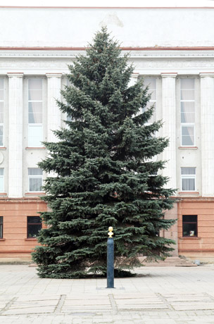 Šiauliuose pradeda dvelkti Kalėdomis