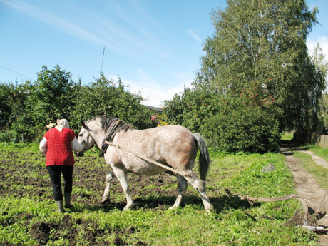 Galvosūkis seniūnijoms – paslaugų centrai Galvosūkis seniūnijoms – paslaugų centrai