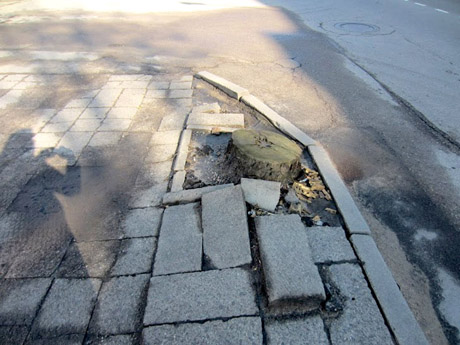 Ar turi Šiaulių miestas šeimininką?