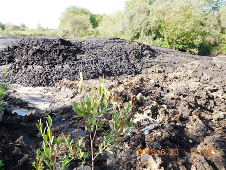 Atliekų tvarkymo įmonė užteršė karjerą Atliekų tvarkymo įmonė užteršė karjerą