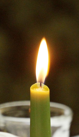 Palaikai – šiandien, pažyma – pirmadienį