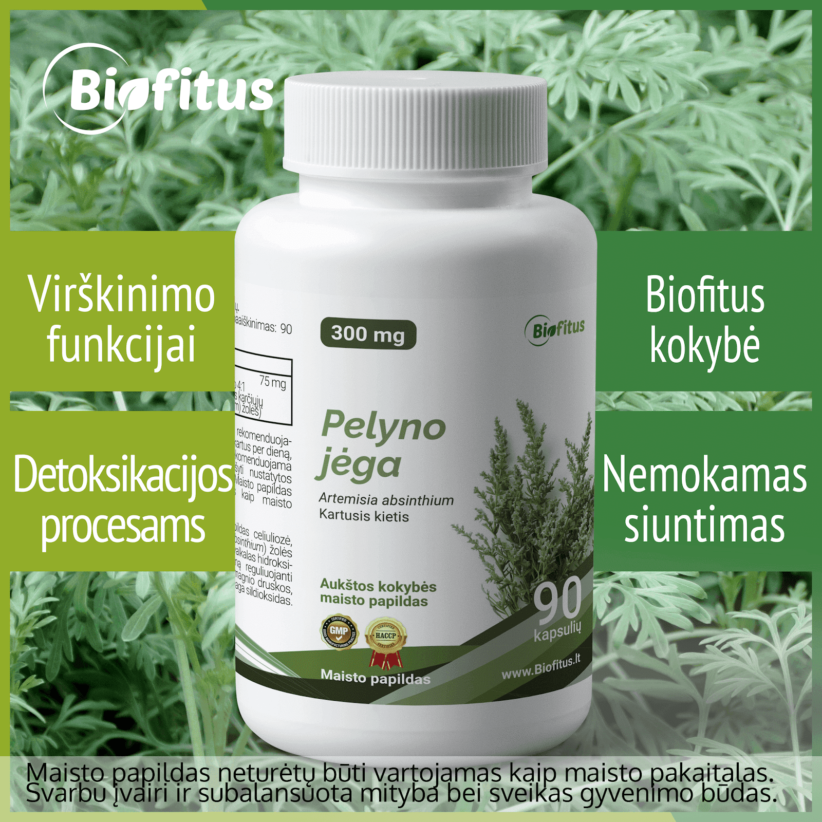 Palyno