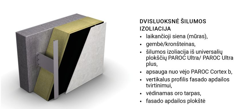 dvisluoksne