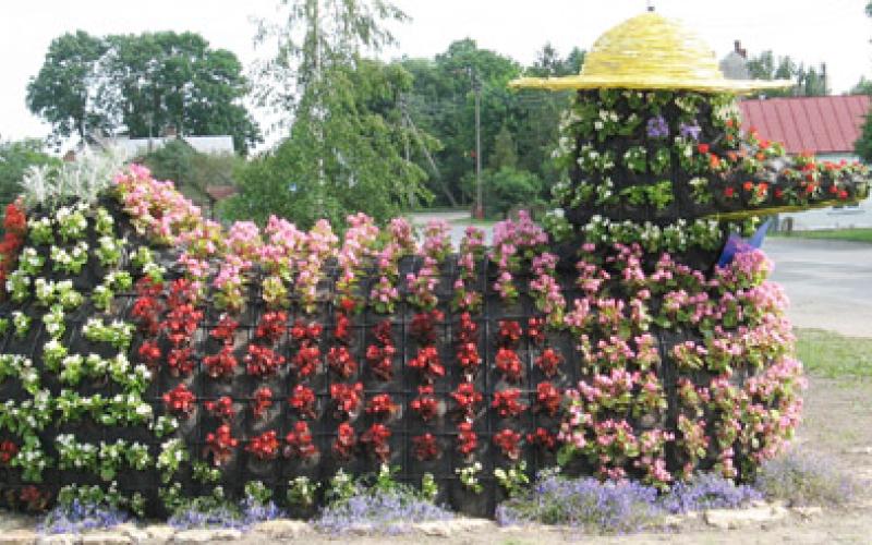 Linkuva pasipuošė žydinčiomis skulptūromis | Šiaulių kraštas