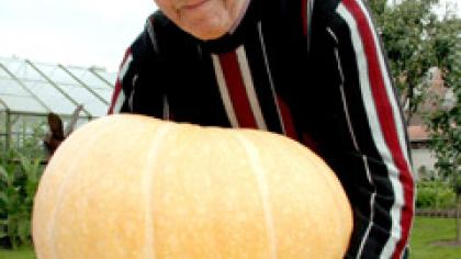 Senolis užaugino įspūdingą moliūgą