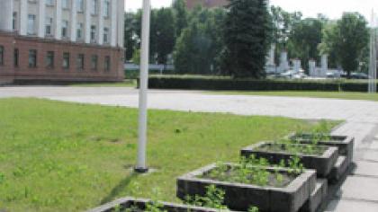 Vėliavos papėdėje želia balandos