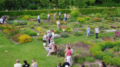 Botanikos sodas kvietė švęsti Žolinę