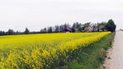 Ant ūkininkų gula žiemos padaryti nuostoliai