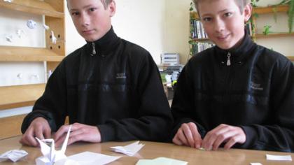 Dvynių pomėgis – origamiai