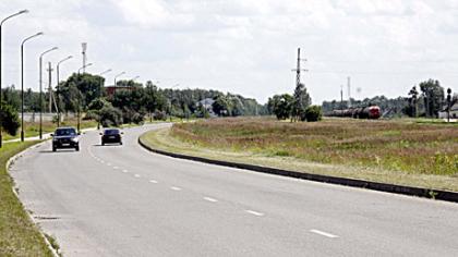 Stambus kąsnis skaniai kvepia