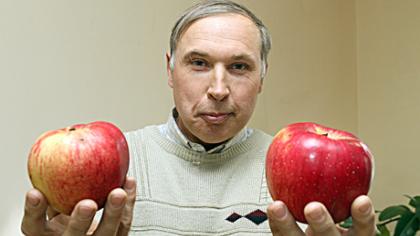 „Rubino“ milžinai