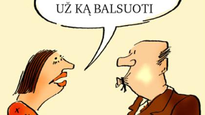 Ar rajonui geriau savas Seimo narys?
