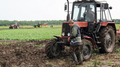 Žemės ūkio veiklos reitinge radviliškiečiai – dešimti