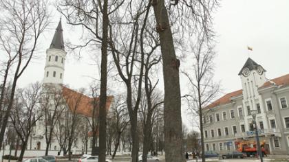 Šiaulių katedra taps tikinčiųjų turtu