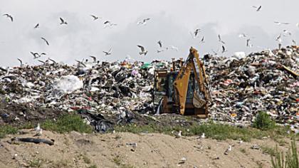 Žlungantį regioninį sąvartyną siūlo ministerijai