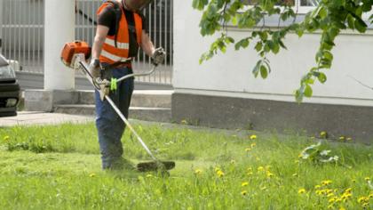 Šienaujama ne tik žolė, bet ir pinigai