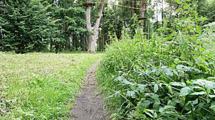 Vasarą parkai primena džiungles