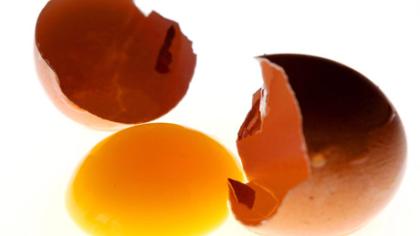 Antibiotikai kiaušiniuose – išimtis ar kasdienybė?