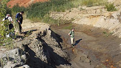 Pirmoji vieša geologinių senienų paieška