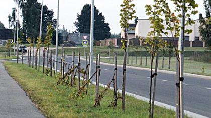 SKAITYTOJAI PRANEŠA