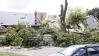 Aikštelė rengiama prekybos paviljonui