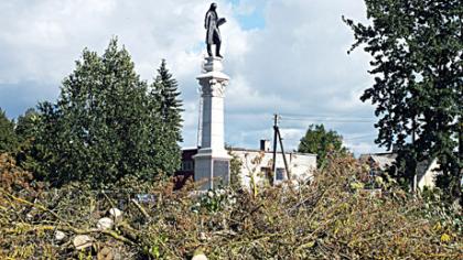 Papilės aikštėje išpjauti medžiai