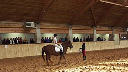 Gydyti padės ir Kurtuvėnų žirgai