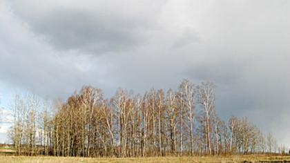 Šią savaitę orai šils kasdien, o jos pabaigoje nušvis saulė