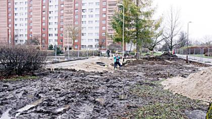 Prasidėjo dviratininkų poilsiavietės statyba