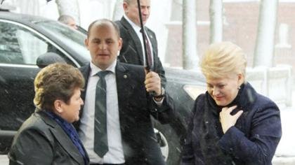 Prezidentė Meškuičiuose įžiebė Kalėdų eglę