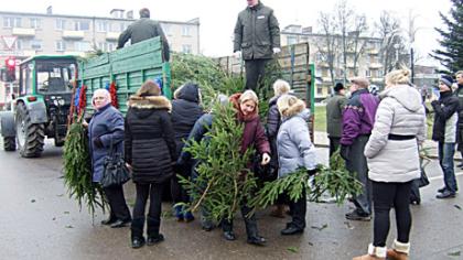 Miškininkai dovanojo eglių šakų