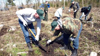 Pasodintas apskrities policininkų ąžuolynas