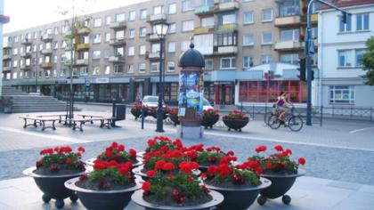 Gėlės balkonui