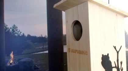 Naminei pelėdai padovanojo būstą