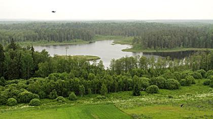 Miškus saugo stebėjimo kameros