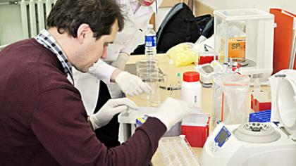 Mokslininkai ieško genų pažaidų, kurios sukelia alerginį rinitą