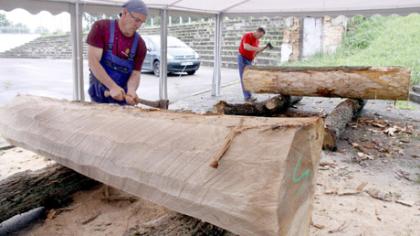 Centro bendruomenė papuoš senąjį parką naujomis skulptūromis