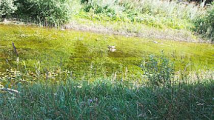 Mokesčius mokame, o ką gauname?