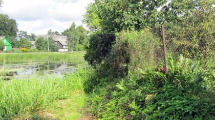 Švėtės upę juosia neteisėtos tvoros